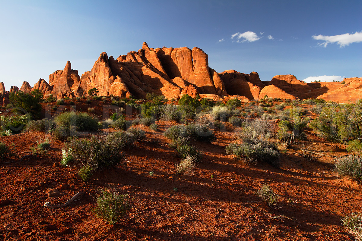 Fiery Furnace