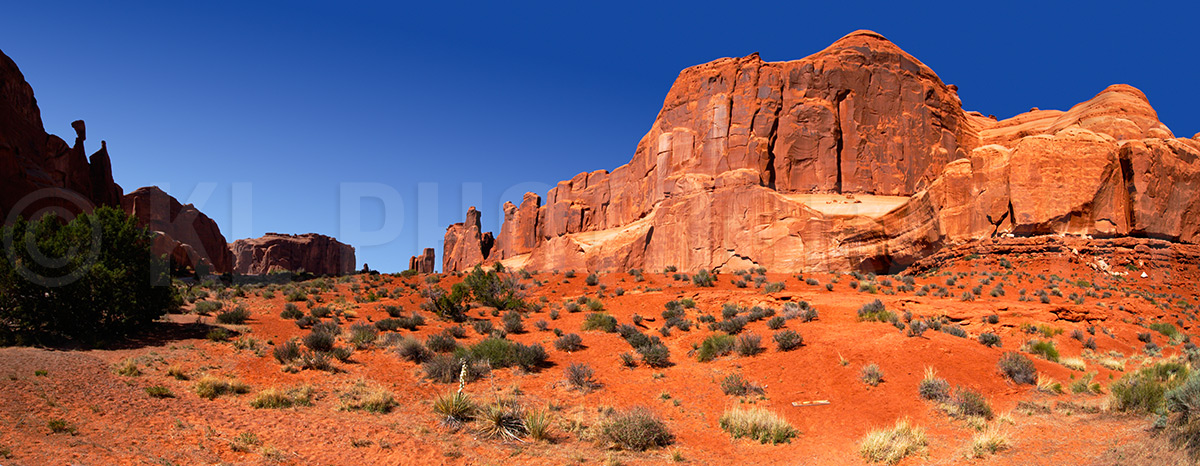 Park Avenue Panorama