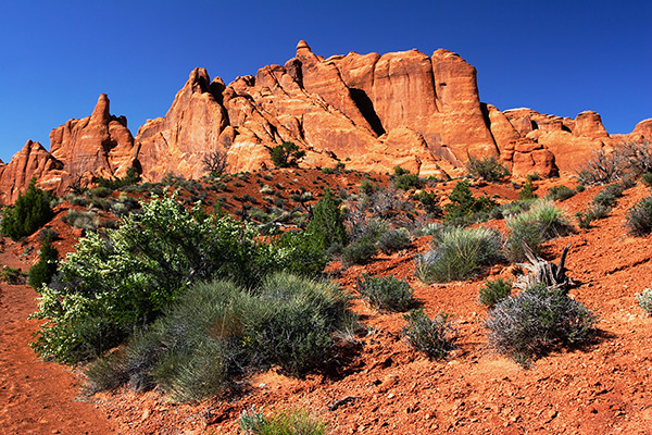 Fiery Furnace