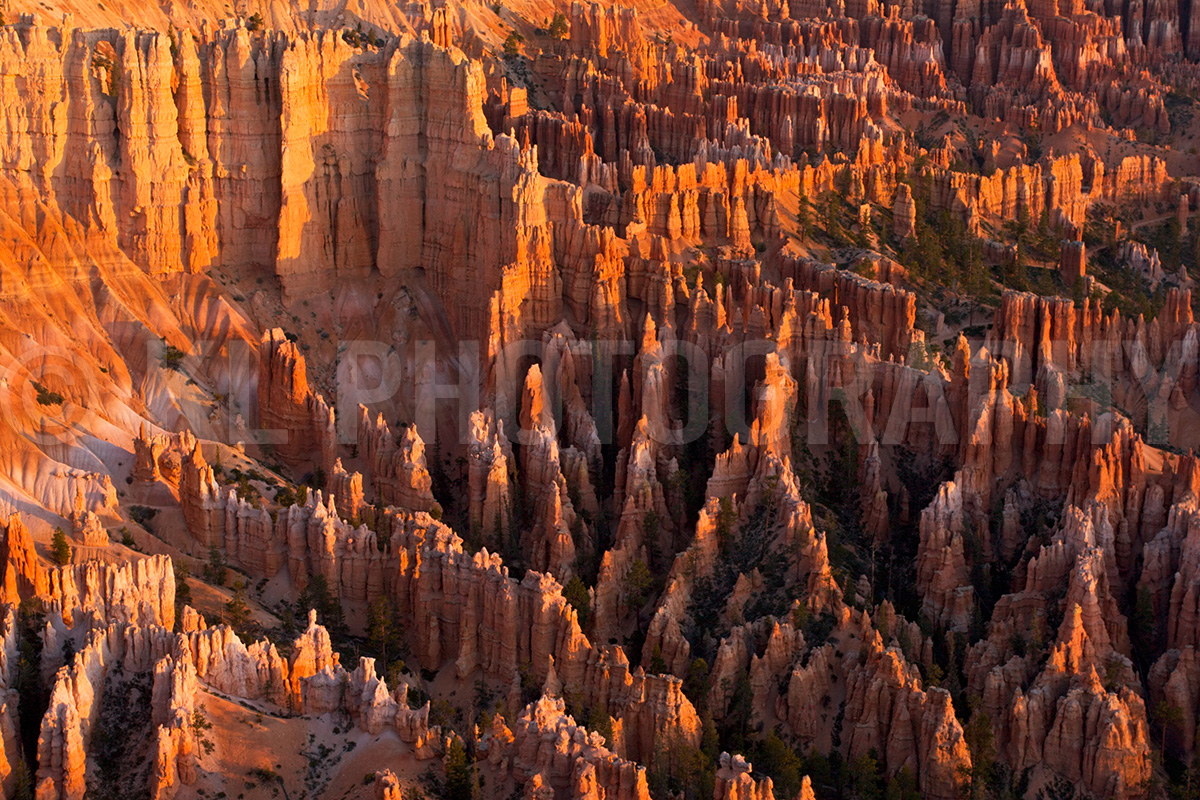 Bryce Canyon Sunrise