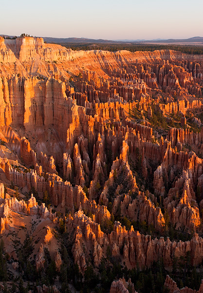 Sunrise at the Canyon