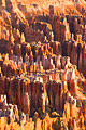Sunrise Hoodoos