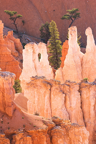 Natural Arch and Trees