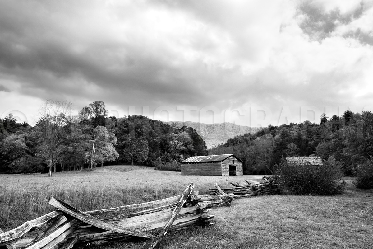 Old Cabin and Fence