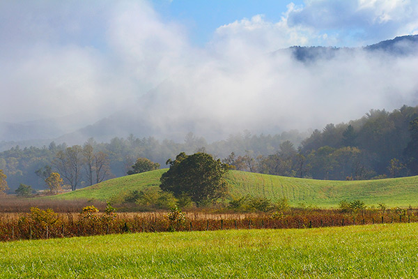 Lifting Fog