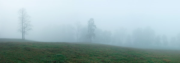 Foggy Valley Panorama