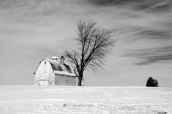Wintry Barn