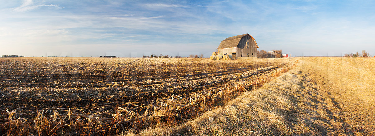 Barn and Springtime Field