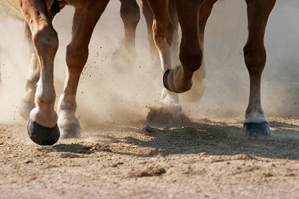 Running Horses
