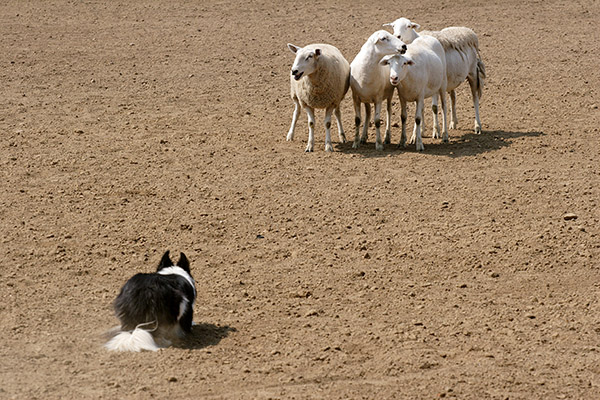 Stand-off