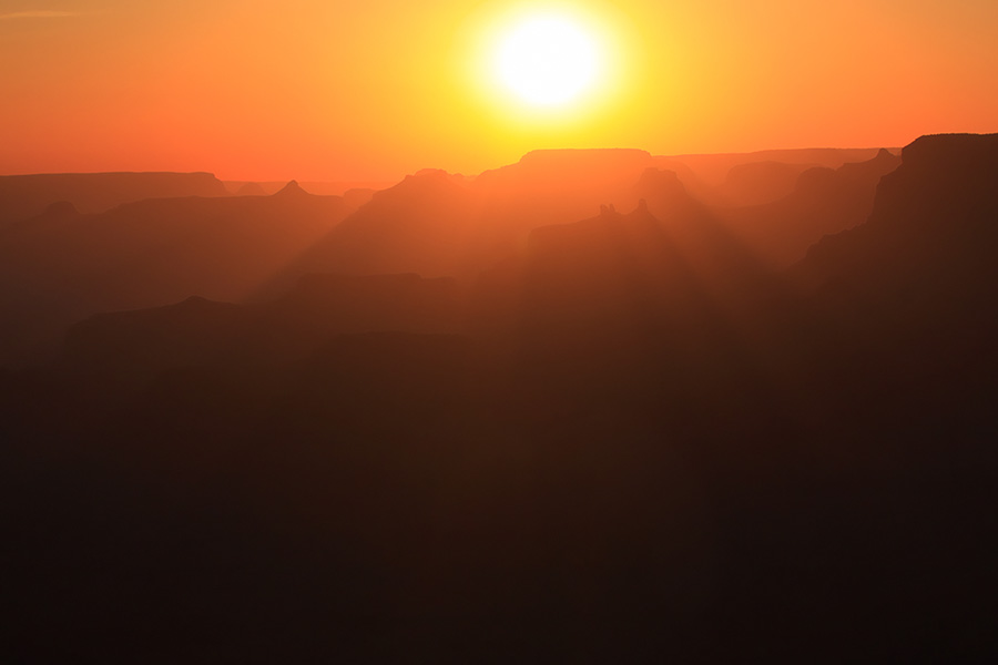 Sunset Silhouettes