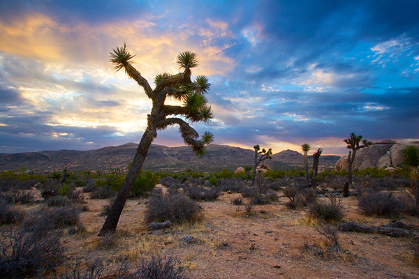 Cloudy Sunrise