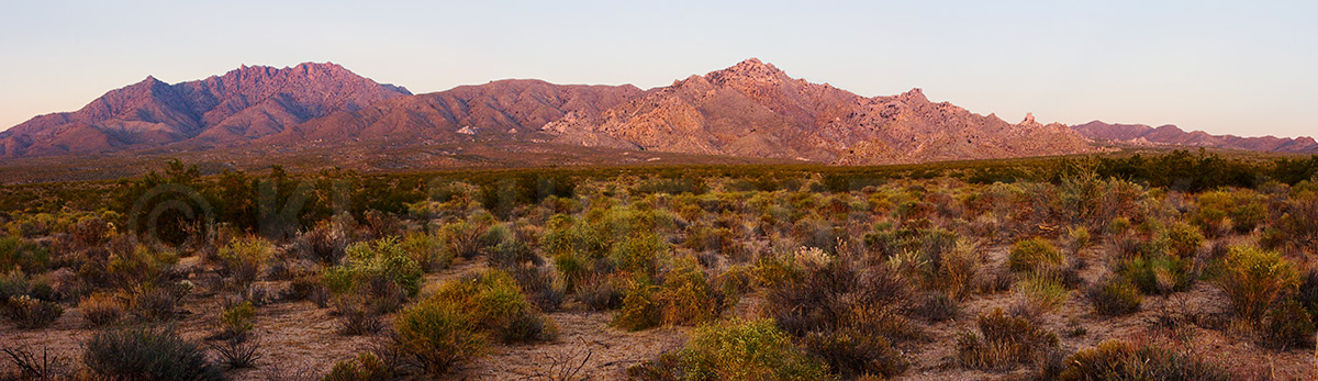 Providence Mountain Panorama