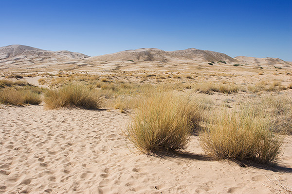 Kelso Dunes