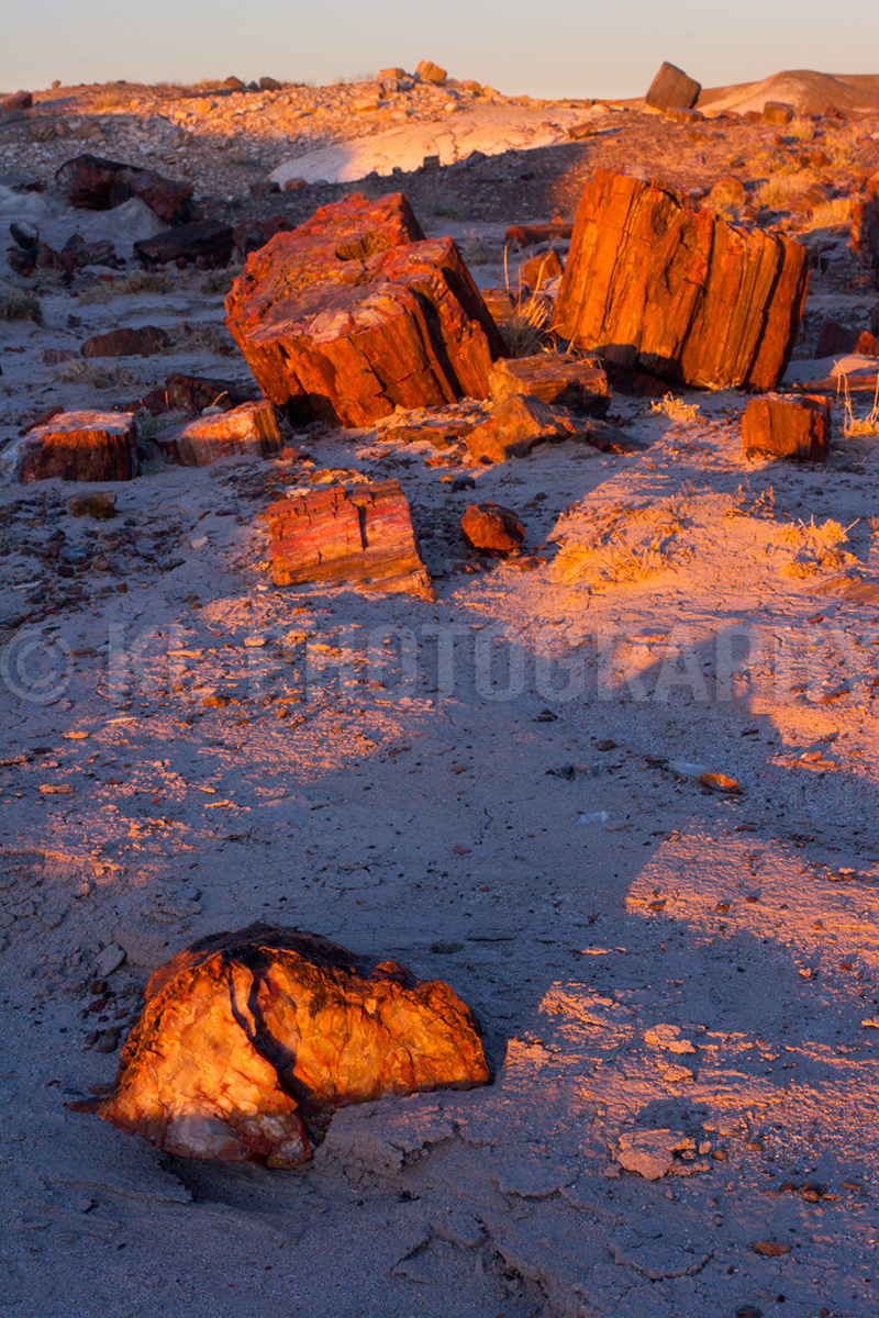 Sunset in the Crystal Forest