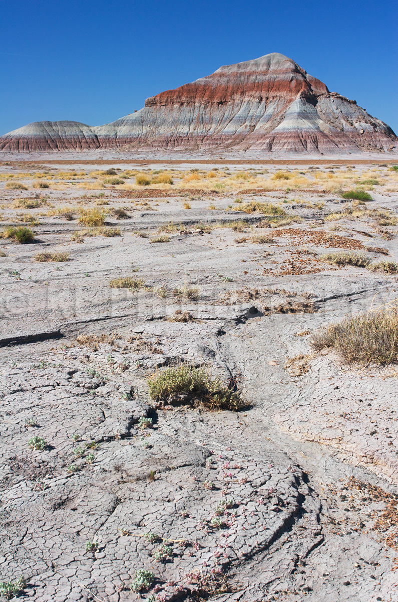 Painted Desert Tepees
