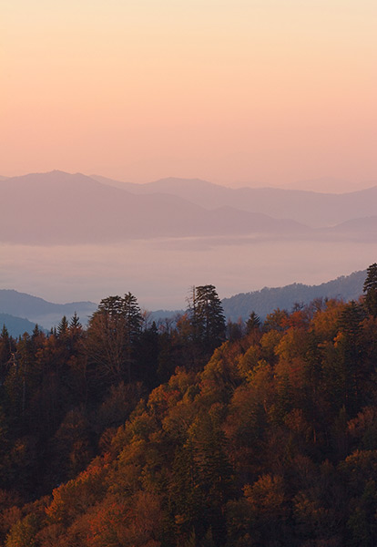 Autumn Sunrise