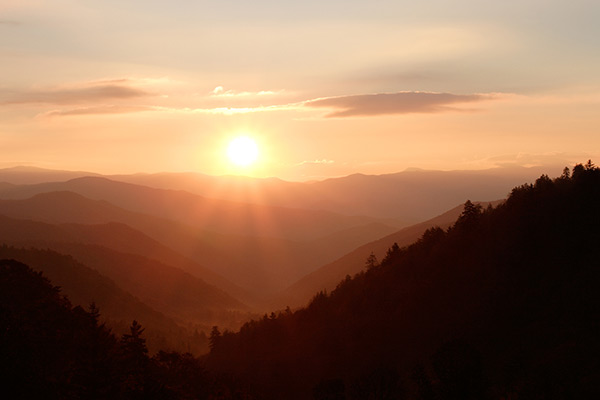Radiant Sunrise