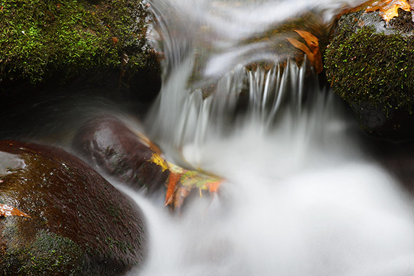 Gentle Stream