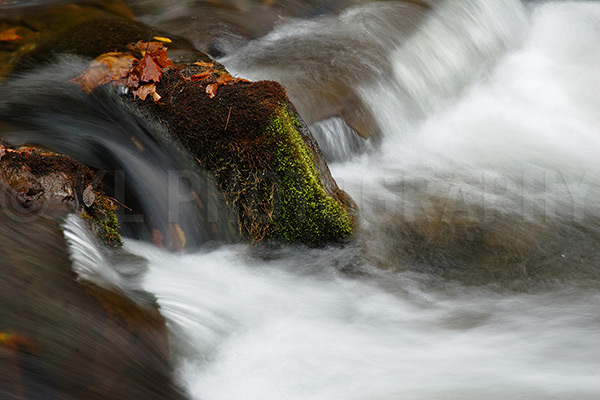 Whitewater