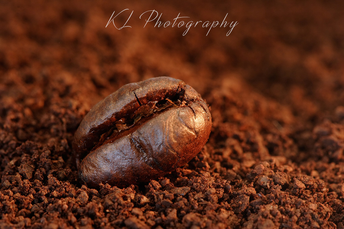 Coffee Bean Macro