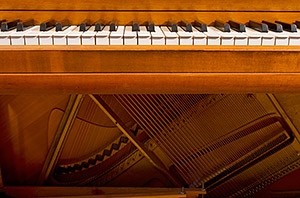 Inside a Piano