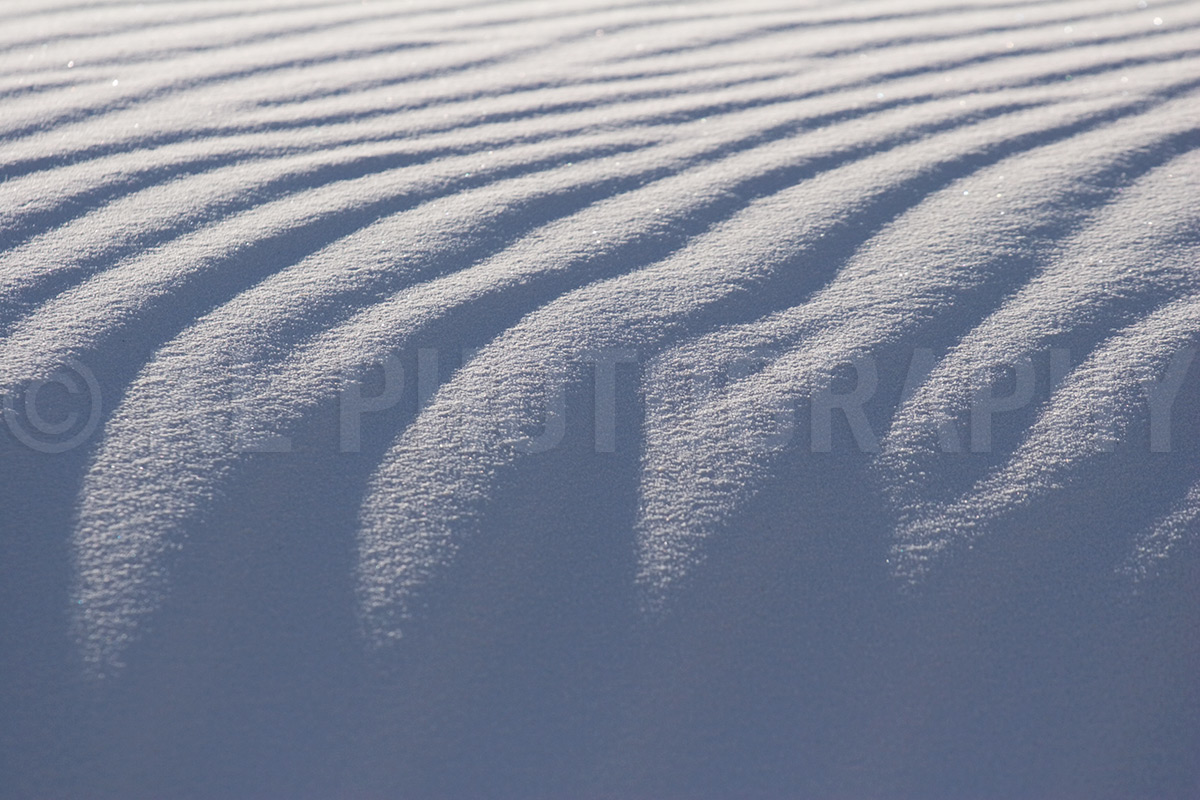 Sand Ripples