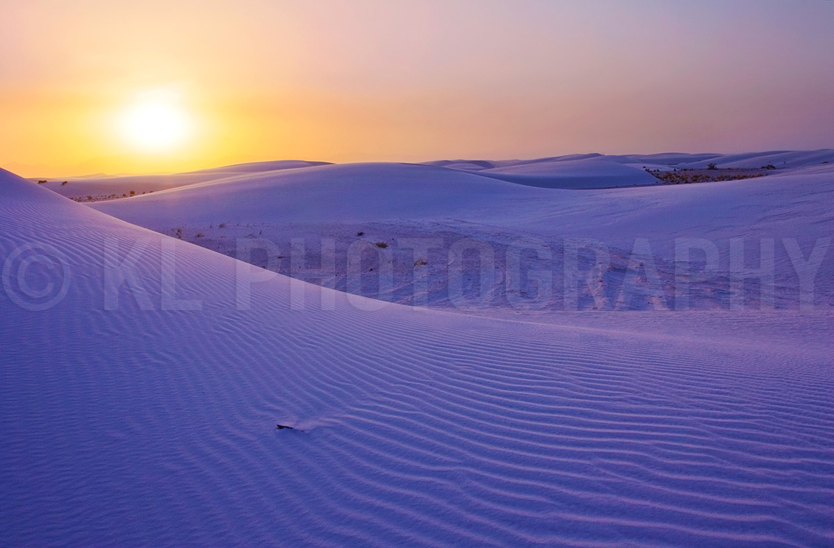 Sunset over Purple Dunes