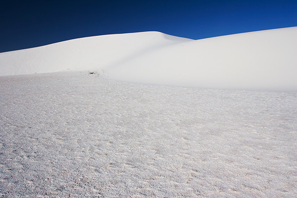 Curved Dune