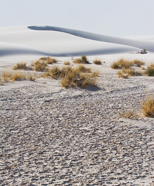 Playa and Dunes