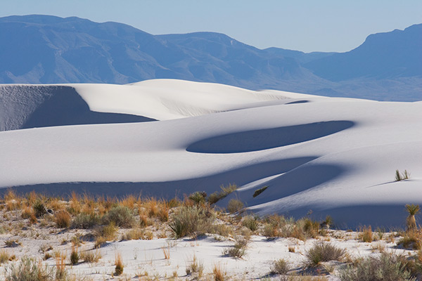 Sculpted Sand