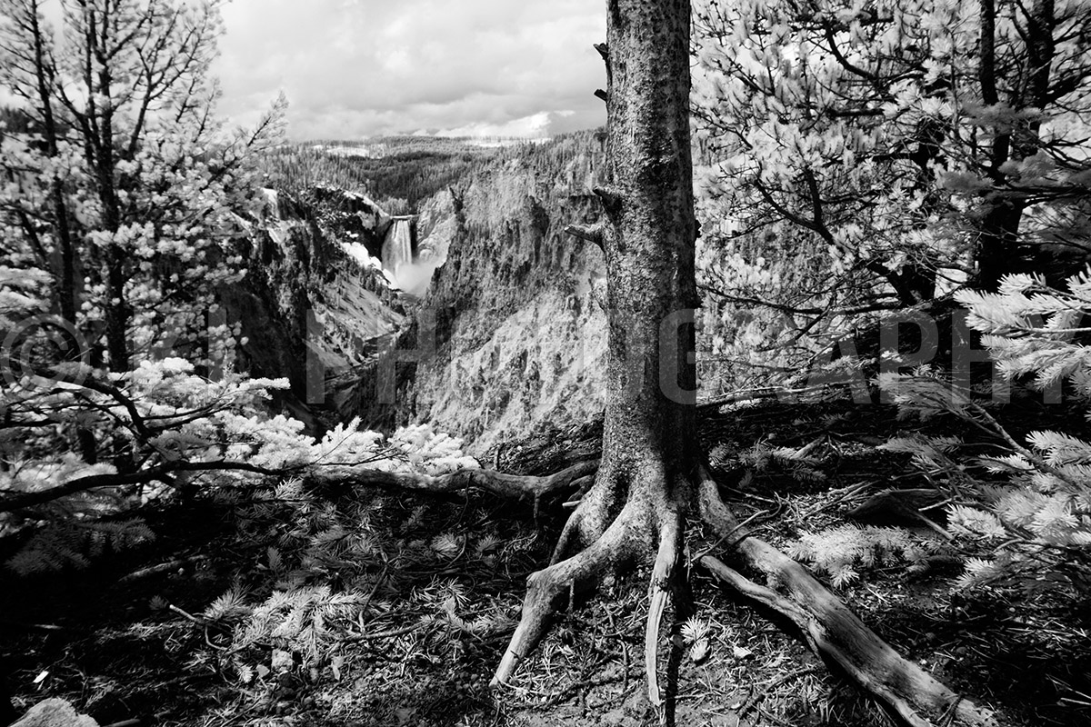 Artist Point, black-and-white
