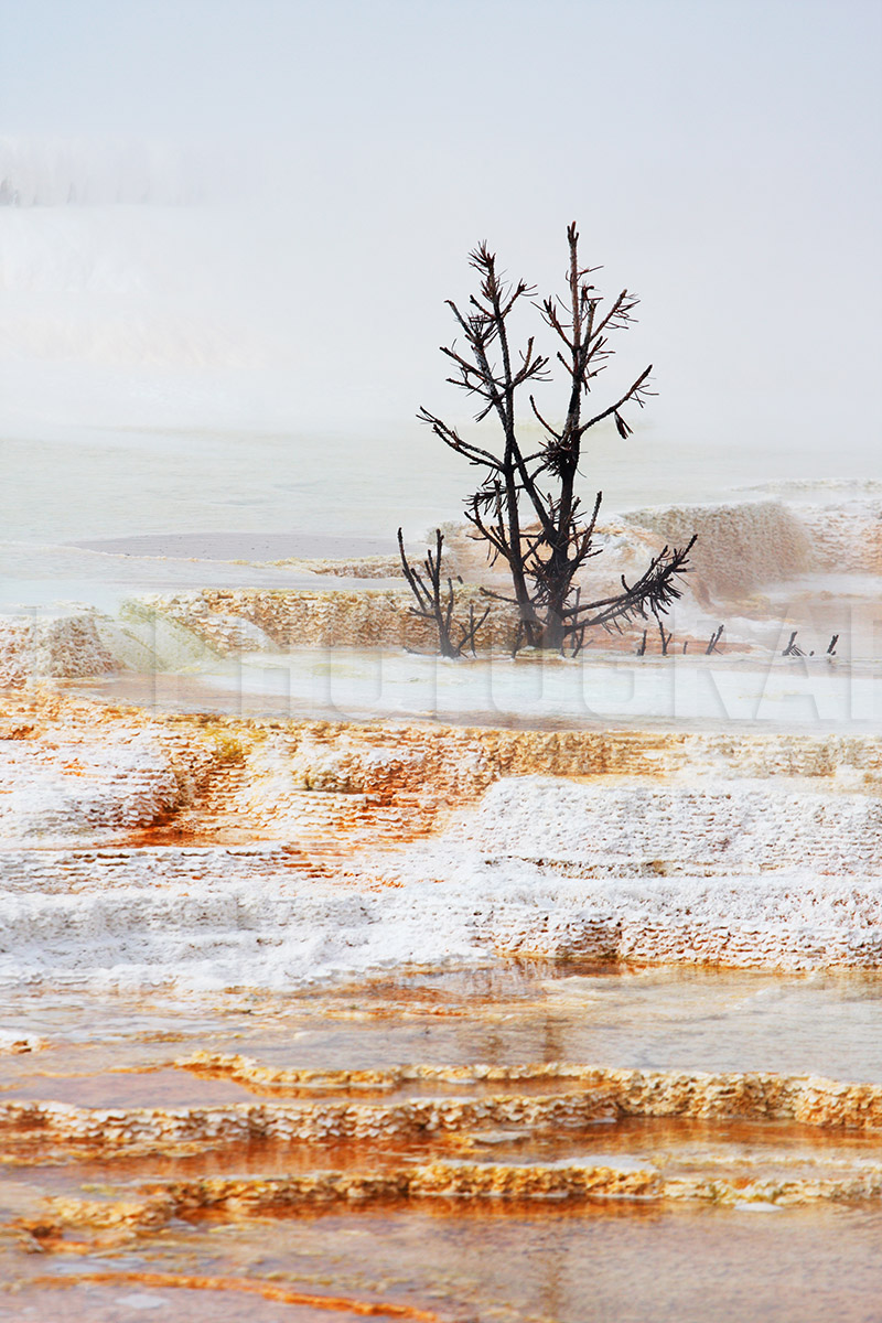 Hot Springs at Mammoth