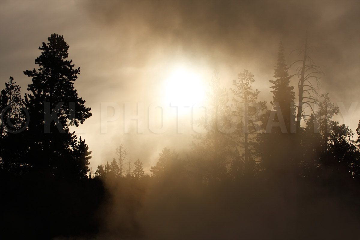 Sunlit Geyser Steam