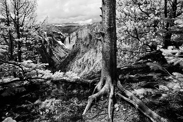 Artist Point, black-and-white
