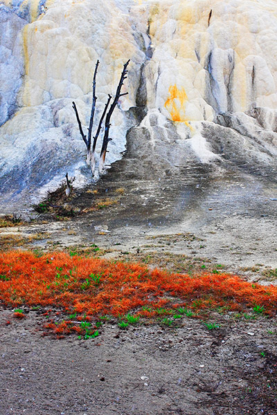 Orange Spring Mound