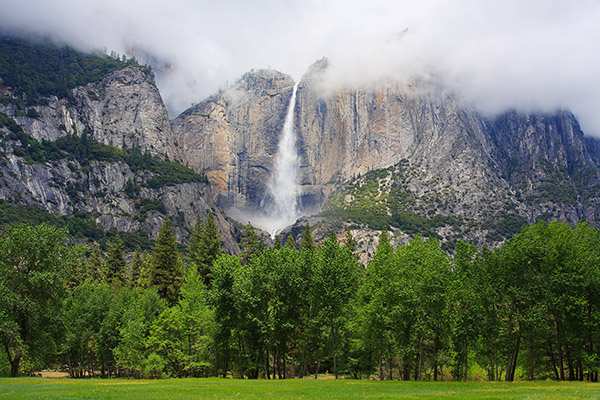 Sentinel Meadow